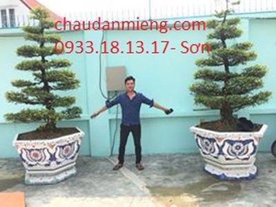 Nghệ nhân dán miễng sành sứ - ốp sành - chuyên chậu hoa - bể cá cảnh 3