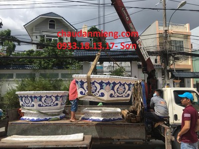 Nghệ nhân dán miễng sành sứ - ốp sành - chuyên chậu hoa - bể cá cảnh 16