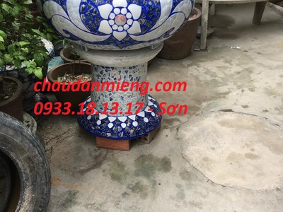 Nghệ nhân dán miễng sành sứ - ốp sành - chuyên chậu hoa - bể cá cảnh 18