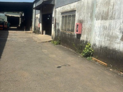 Cho thuê nhà xưởng Phước Tân, Biên Hòa, Đồng Nai 3.000m 1