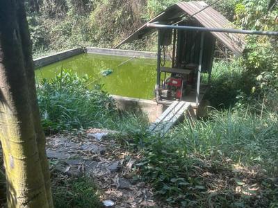 Cho thuê nhà xưởng Phước Tân, Biên Hòa, Đồng Nai 3.000m 2