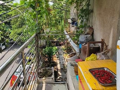 Lô góc chung cư nhiêu lộc c, tân phú 60m   chỉ 2.9 tỷ tl 2