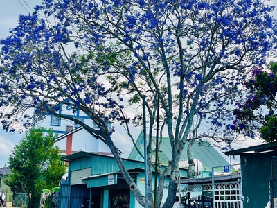 Đất view thoáng   vị trí đẹp   giá giảm mạnh 4
