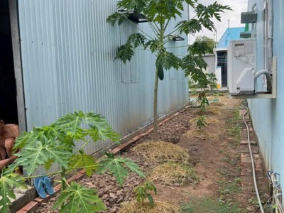 Vị trí đẹp - giá tốt - bán đất tặng nhà tiền chế tại khóm 1, phường 1, tp bạc liêu 3