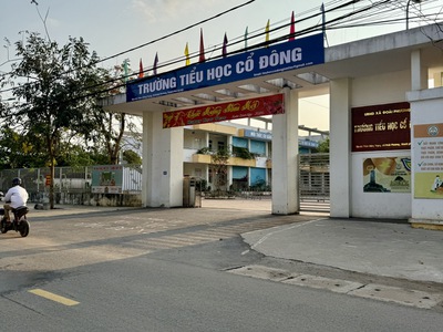 Cắt lỗ lô đất cạnh trường tiểu học cổ đông   chủ cần bán gấp 0