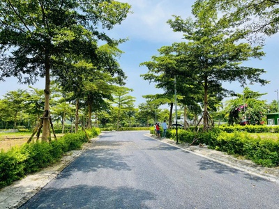  Có 3 tỷ nên mua đất gì 0