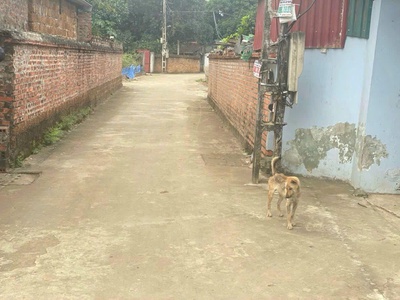  Có 3 tỷ nên mua đất gì 4