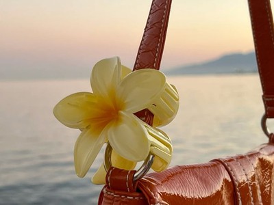 6 Bí Quyết Dùng Kẹp Tóc Hoa Tuna Aesthetic Để Luôn Nổi Bật. 0