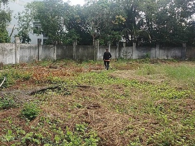 3.000m2 đất vàng lê tấn bê bình tân   ngang 50m siêu khủng 1