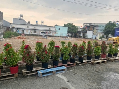 Đất đẹp sát lê văn khương   5x23m   đường 6m thông   giá chỉ 3.75 tỷ 0