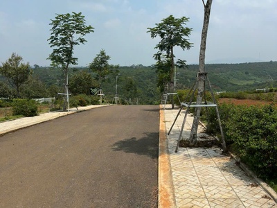 Bán đất Di Linh, Lâm Đồng 249 triệu 0