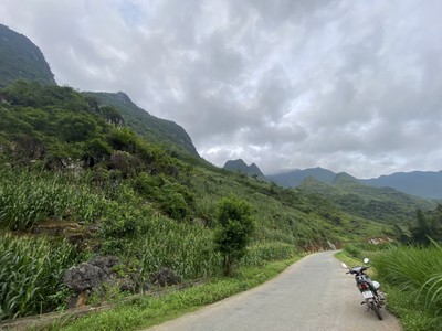 Cắt lỗ lô đất trục đường tl181 cán tỷ - hà giang 3