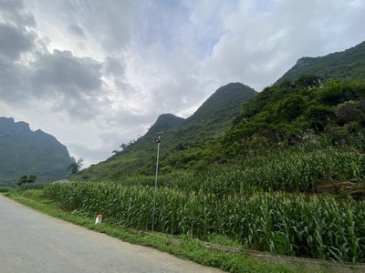 Cắt lỗ lô đất trục đường tl181 cán tỷ - hà giang 2