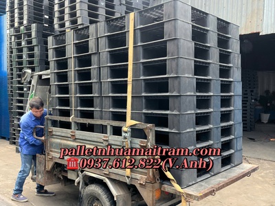  Thanh Lí Pallet Nhựa Cũ   Mới Giá Rẻ Tại Bảo Lộc - Giao Hàng Tận Nơi   0