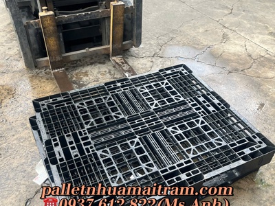  Thanh Lí Pallet Nhựa Cũ   Mới Giá Rẻ Tại Bảo Lộc - Giao Hàng Tận Nơi   6