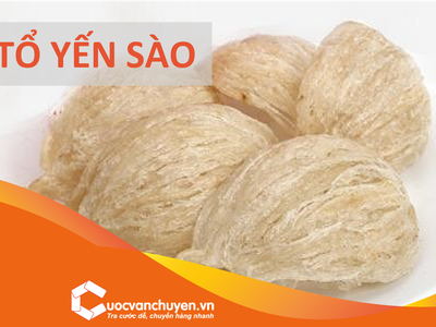 Thủ Tục Xuất Khẩu Tổ Yến, Yến Sào 0