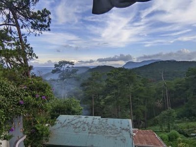 Bán biệt thự 0