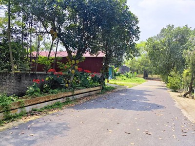 Sốc lô đất 101m2 phú cát view hồ, khu vực trung tâm hòa lạc. phù hợp xây trọ, đầu tư sinh lời, kết 0