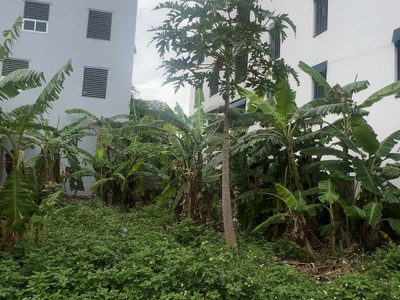 Lô đất xây trọ - chỉ hơn 3 tỷ tại Hòa Lạc 0