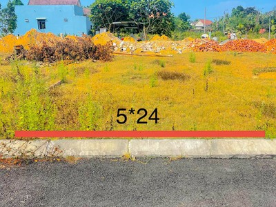 Ra mắt 5 lô liền kề nằm cách trục đường huyết mạch Nam Kỳ Khởi Nghĩa 500m 1