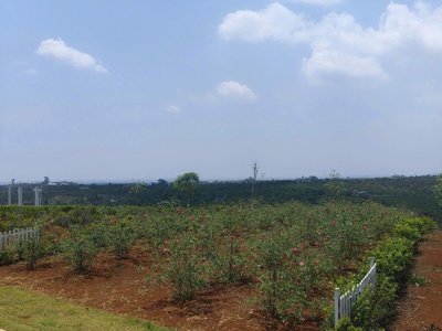 150m    CHỈ 789 TRIỆU   ĐẤT VEN ĐÀ LẠT 0
