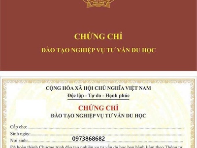 Tuyển sinh Đào tạo cấp chứng chỉ Tư vấn du học 1