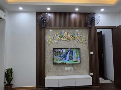 Bán nhà Đào Tấn ở và kinh doanh căn hộ khu đại sứ quán Nhật Bản 3
