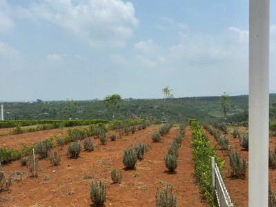 Bán Đất vùng ven Đà Lạt giá chỉ 2xxtr 2