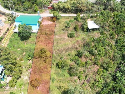 Bán lô đất view đồi   view suối đẹp, full thổ cư, ngang 8m, cách ql55 400m. 1
