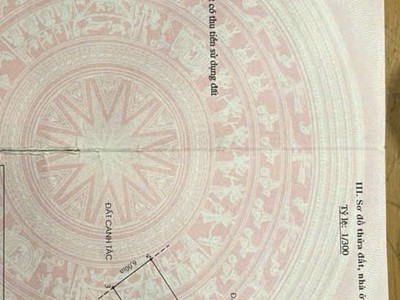 Chính chủ gửi bán đất mặt đường Phường Nam Đồ Sơn, Hải Phòng 150m 0
