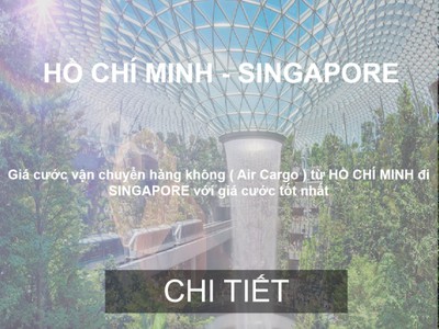 Giá Cước Vận Chuyển Hàng Hóa Từ Hồ Chí Minh Đến Singapore 0