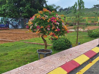 Bán mảnh đất xã phú cát, 100m2 full thổ cư, giá 1,8 tỷ 1