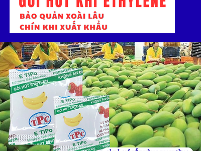 Gói Etipo chống chín siêu cấp cho xoài giá rẻ nhất 6