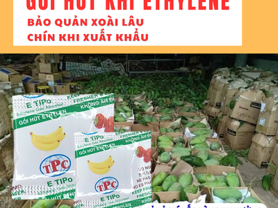 Gói Etipo chống chín siêu cấp cho xoài giá rẻ nhất 7