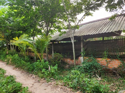 Cho thuê đất rộng 26.000m  tại xã trung lập thượng, huyện củ chi 4