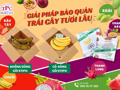 Gói hút khí Ethylene bảo vệ trái cây hiệu quả xuất khẩu 0