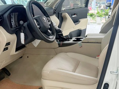 Bán Land Cruiser LC300 sản xuất 2025, siêu lướt 5000Km 6