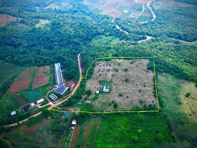 Anh chị sẽ trả giá bao nhiêu để đổi lấy 5ha đất vàng này 0
