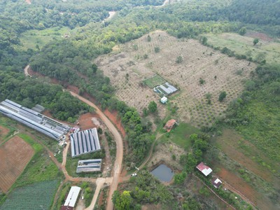 Anh chị sẽ trả giá bao nhiêu để đổi lấy 5ha đất vàng này 4