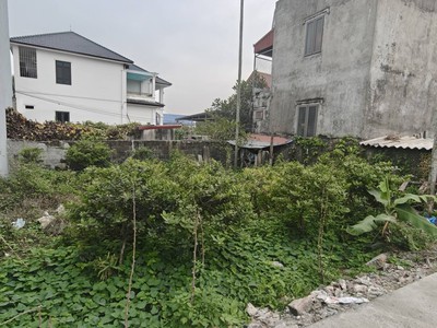 Bán lô đất nở hậu ngõ 77 Phạm Hải - Đa Phúc 1