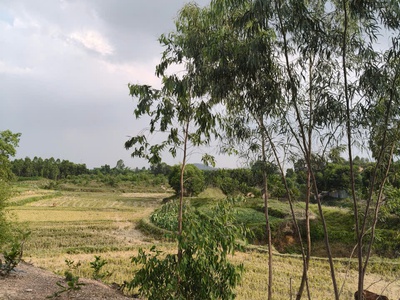 Bán đất sóc sơn, 100m full đất ở, 3 mặt thoáng, view cánh đồng 1
