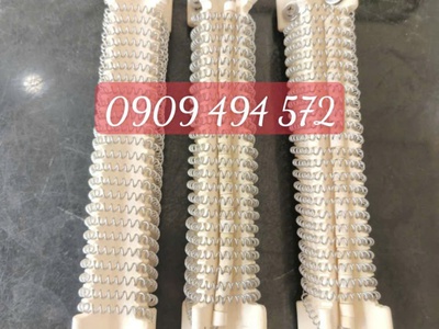Điện trở sứ trái khế 2