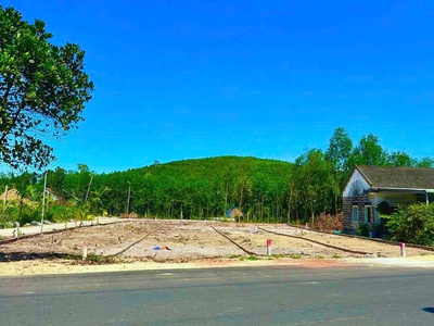 Bán Đất Quế Sơn - Gần Quốc lộ 1a- Vị trí đẹp, sinh lời cao 1