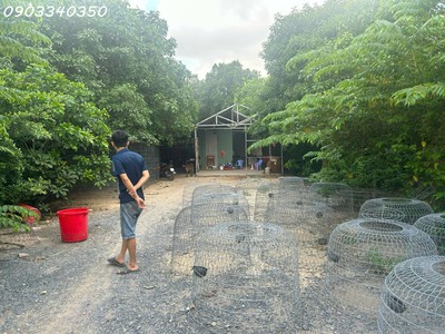 Bán lô đất siêu đẹp mặt tiền đường nhựa nhị bình 18, hóc môn, hcm, dt 3.156m2. giá đầu tư 1