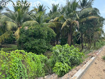 Bán đất siêu đẹp mặt tiền bờ sông sài gòn tại đông thạnh, dt 1500 m2, giá 58 tỷ 1