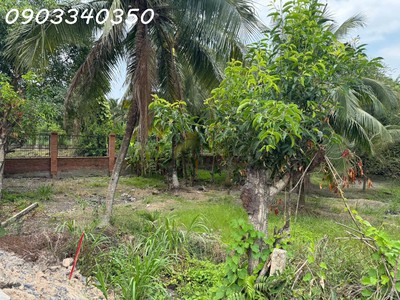 Bán đất siêu đẹp mặt tiền bờ sông sài gòn tại đông thạnh, dt 1500 m2, giá 58 tỷ 4