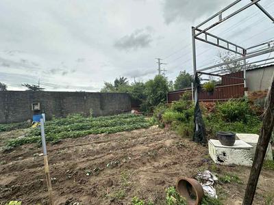 Bán gấp - 1510m2 đất mt xuân thới thượng 4-1, hóc môn, 35 tỷ. 2