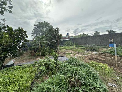 Bán gấp - 1510m2 đất mt xuân thới thượng 4-1, hóc môn, 35 tỷ. 3
