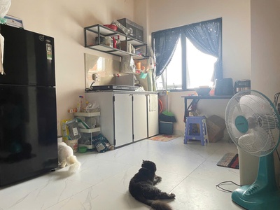 Cần pas gấp phòng trọ ,gò vấp, tphcm 1
