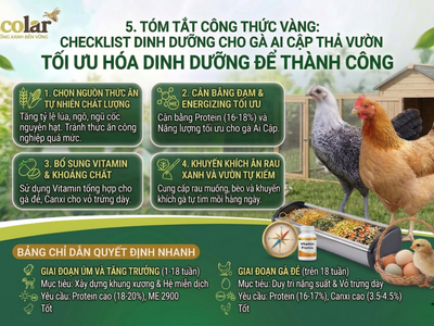 Thức Ăn Cho Gà Ai Cập Thả Vườn: Cách Phối Dinh Dưỡng Giúp Gà Khỏe, Đẻ Bền 3